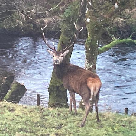 Mingulay, Cuil Bay Leilighet Appin Eksteriør bilde